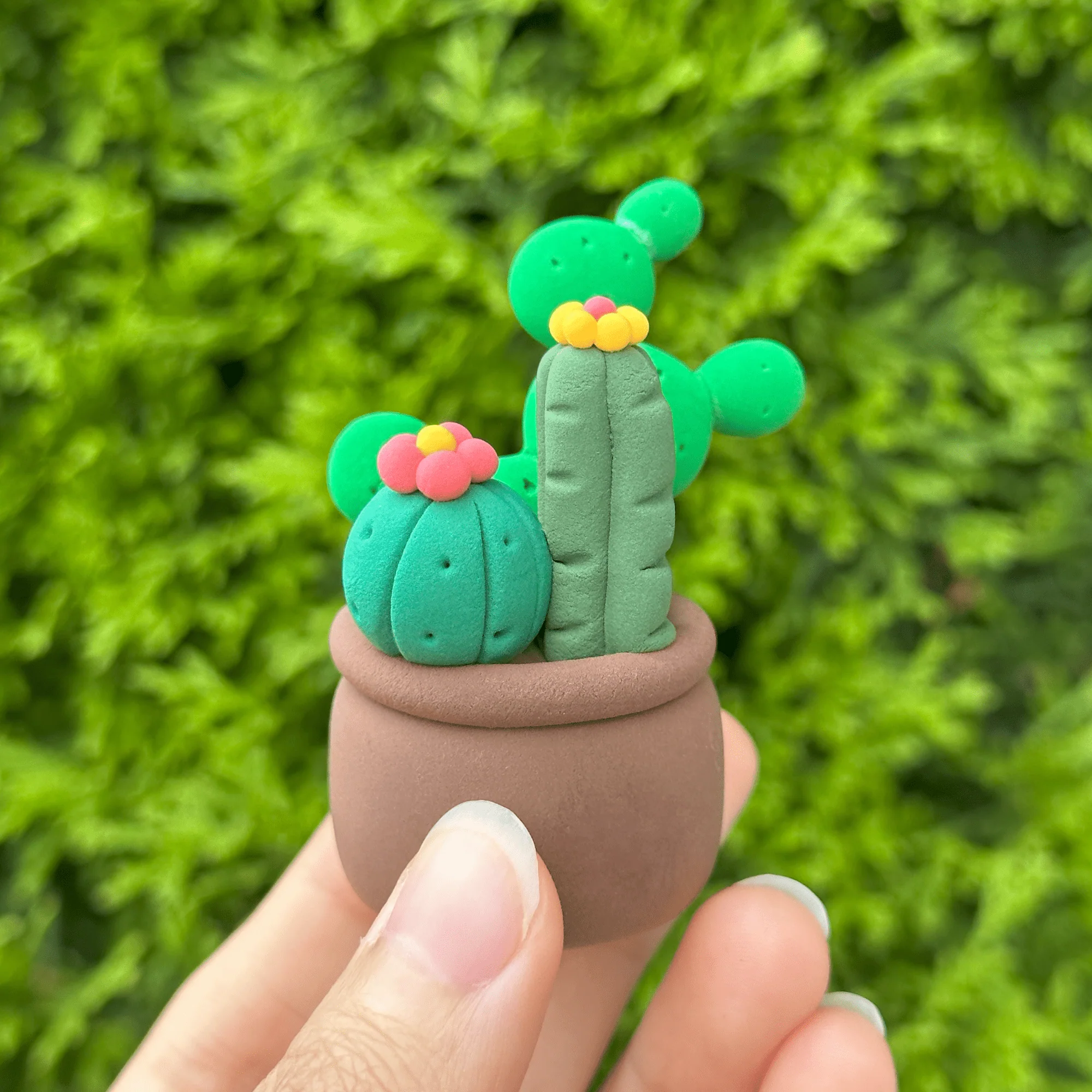 Crazy Cacti - Image 4
